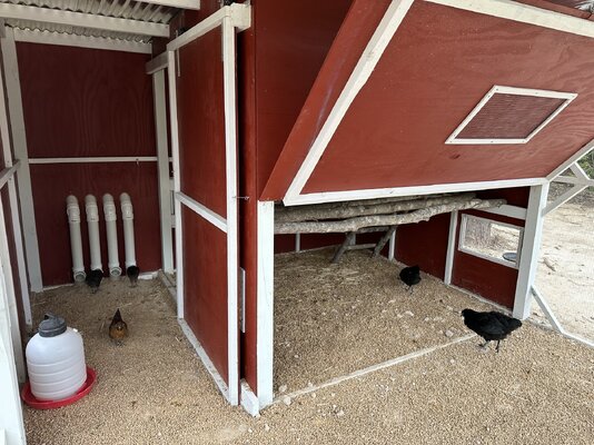 chicken coop005.jpg