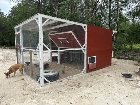 chicken coop010.jpg