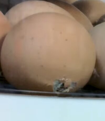 Screenshot_20240423_165000_YouTube.jpg