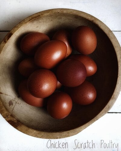 Maran eggs.jpg