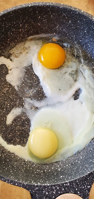egg yolks.jpg