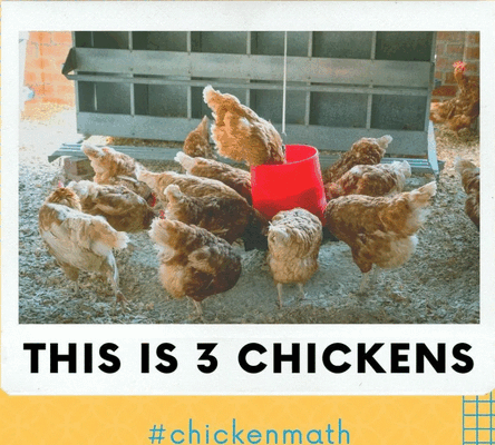 chicken math.gif