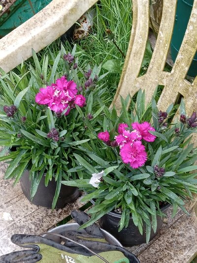 20240506_165141 - Copy.jpg