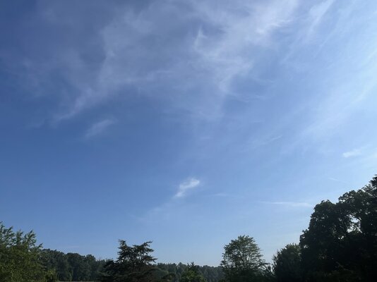 IMG_8437.jpeg