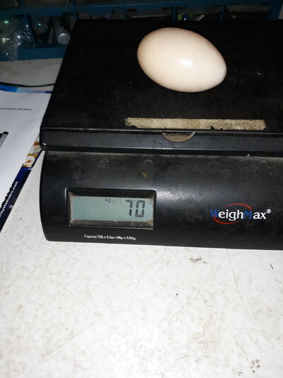 20240530_102831.jpg