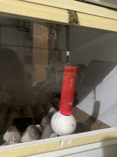 IMG_3440.jpeg
