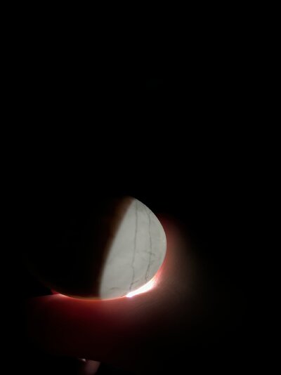 IMG_2018.jpeg