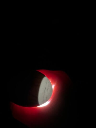 IMG_2024.jpeg
