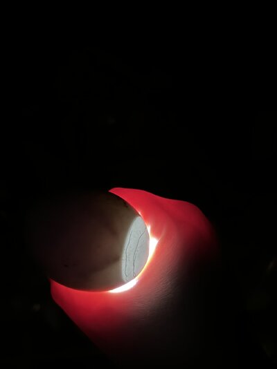 IMG_2025.jpeg