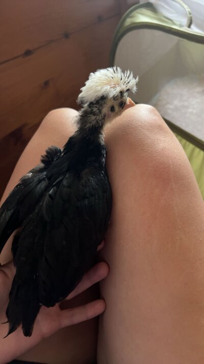 IMG_1221.jpeg