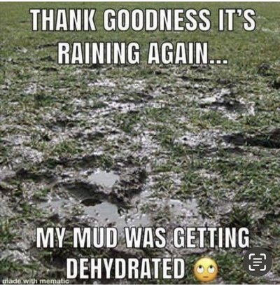 IMG_2648.jpeg