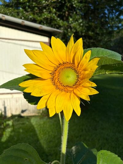 IMG_7944.jpeg