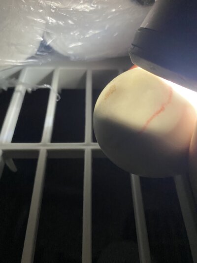 IMG_1662.jpeg