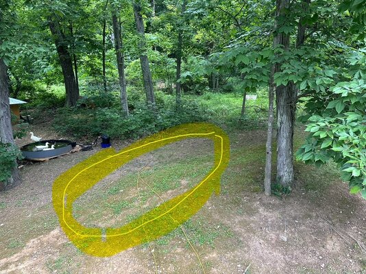 Pond planning.jpg