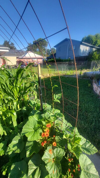 20240612_075020.jpg