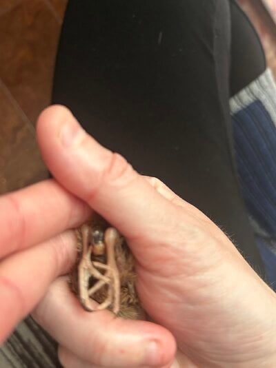 IMG_4743.jpeg