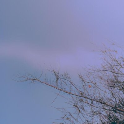 A picture of me and clouds appearing sad and forgotten, as if they were people not leaves (1).jpg