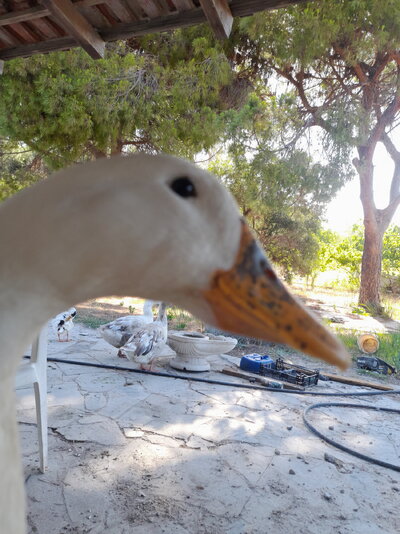 20240614_174123.jpg
