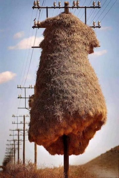 1718485236293.png