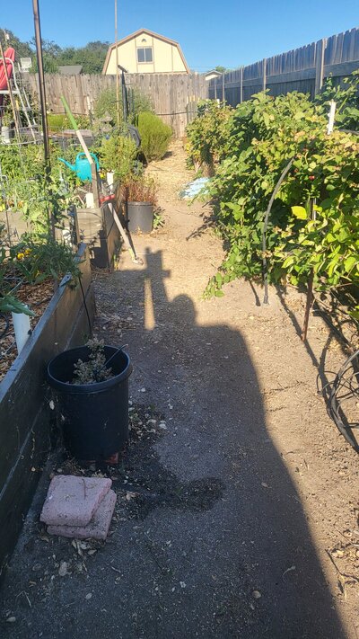 20240615_182053.jpg