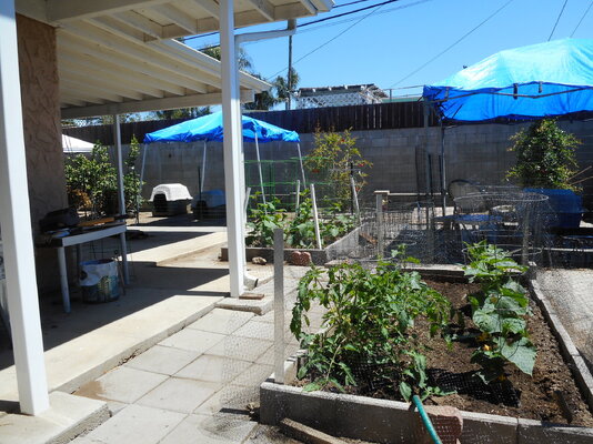 DSCN0287.JPG