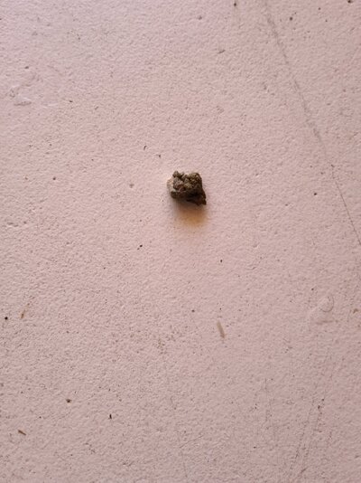 20240619_133140.jpg
