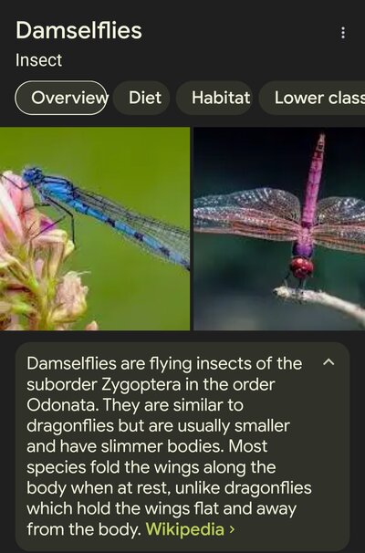 Screenshot_20240623_102650_Chrome.jpg