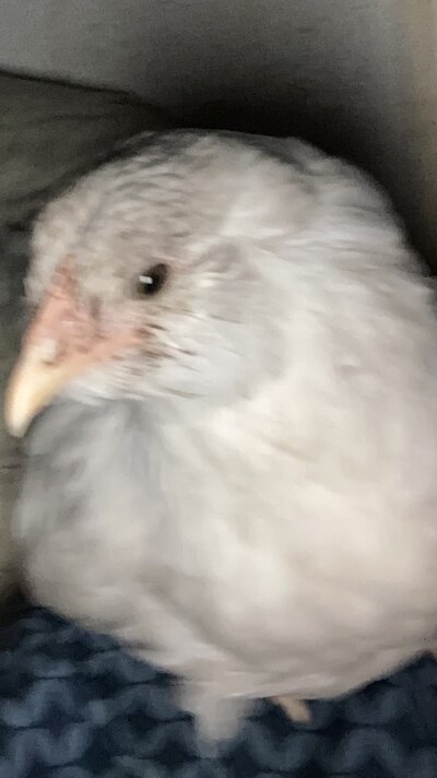 IMG_4472.jpeg