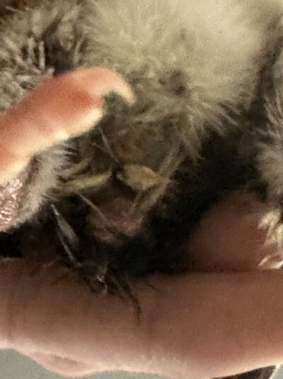 IMG_5402.jpeg