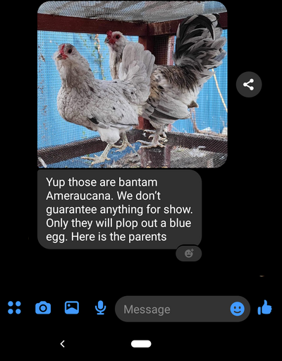 Screenshot_20240628-162503~3.png