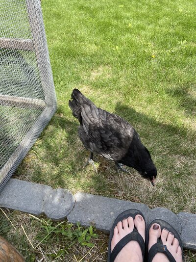 IMG_2907.jpeg