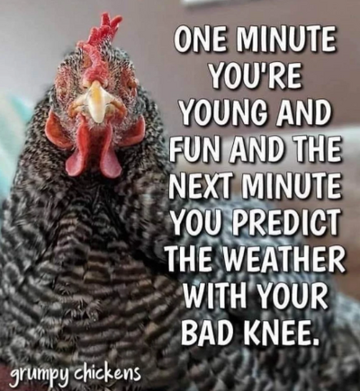 Chicken age.png