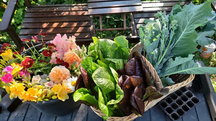 gardenharvest2.jpg