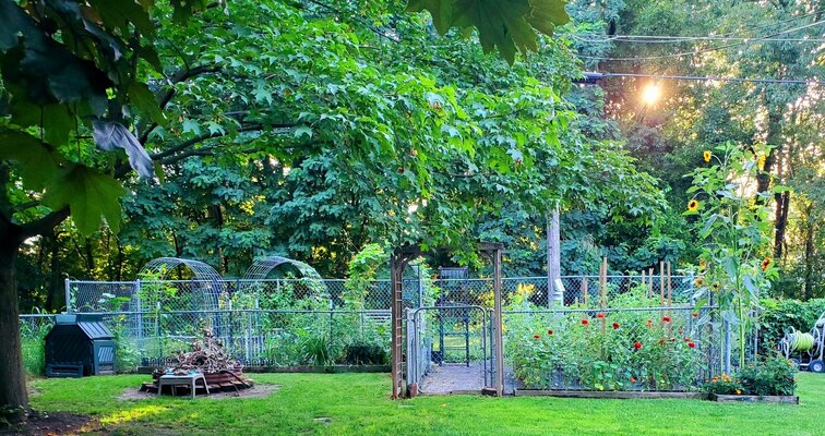 garden3.jpg