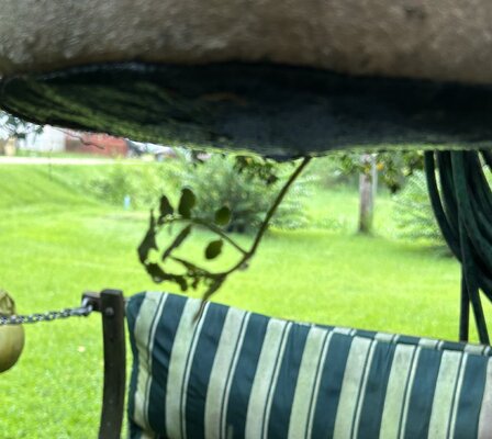 IMG_8283.jpeg