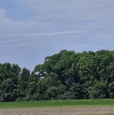 20240708_112916.jpg