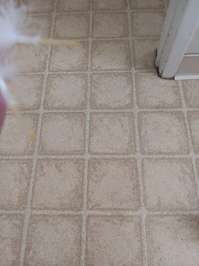 20240708_111041.jpg