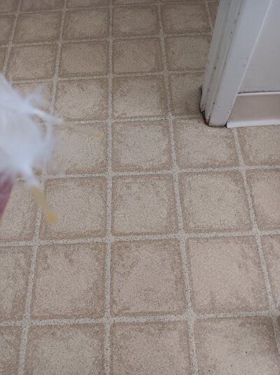 20240708_111030.jpg