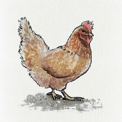 ChickenLouise.jpg