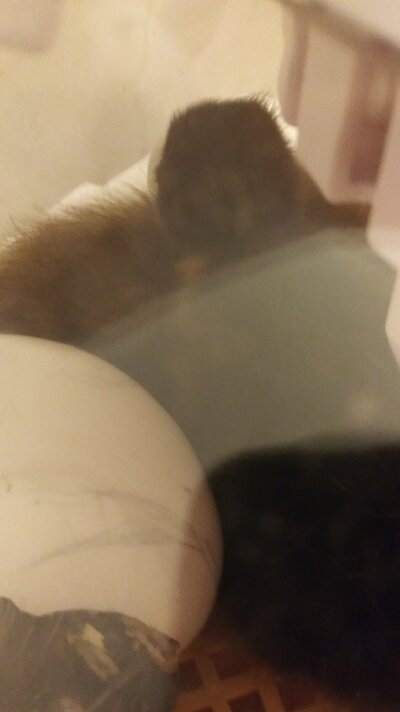 20240711_075444.jpg
