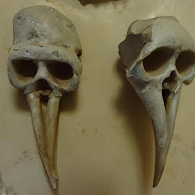 A scarier image (1).jpg