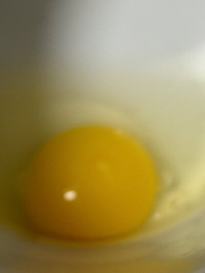 A55E4EE4-0DD3-4341-A23D-0161811E9F35.jpeg