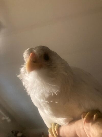 IMG_4514.jpeg