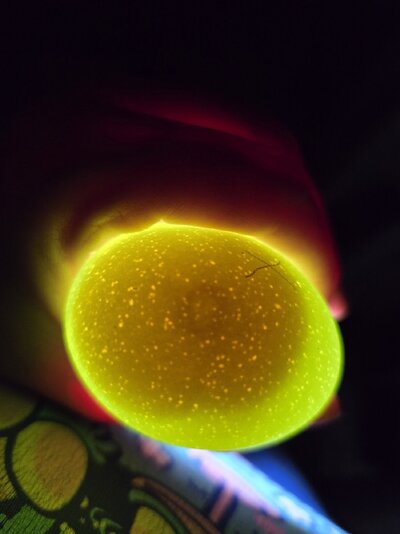 20240716_123705.jpg