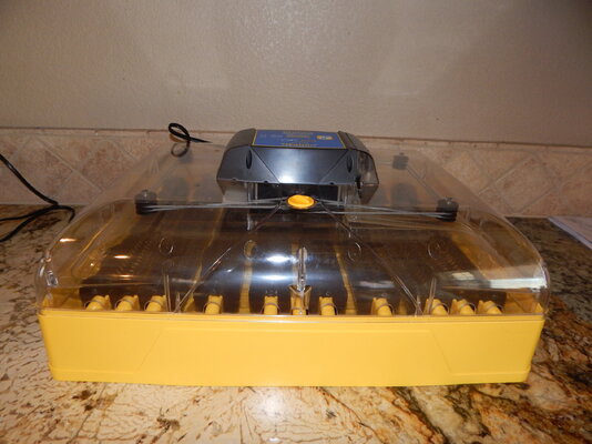 DSCN0630.JPG