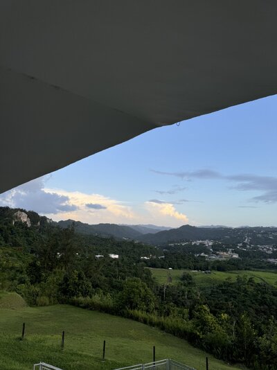 IMG_0045.jpeg