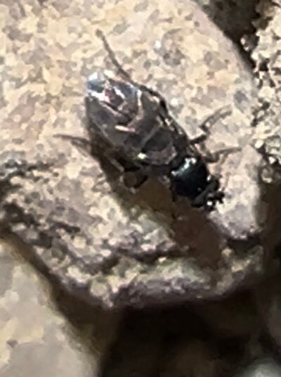 IMG_9756.jpeg