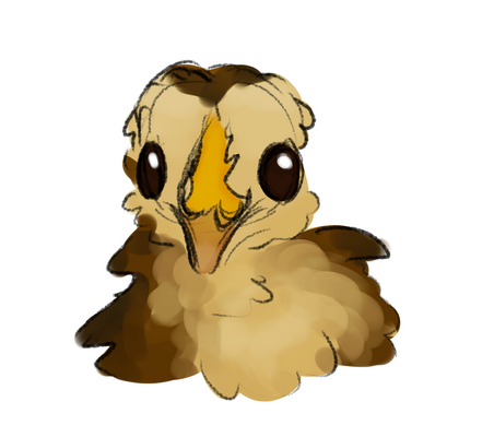 IMG_0461.png IMG_0461.png