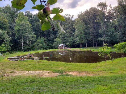 July'24Pond.jpg