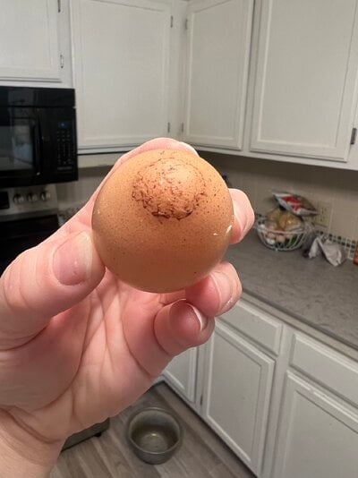 IMG_0360.jpeg